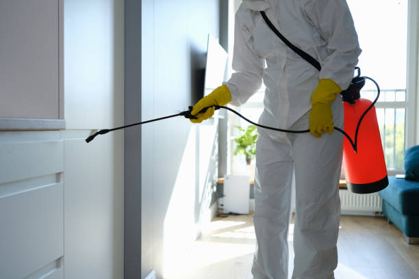 Professional Mold Removal in Grandville, MI